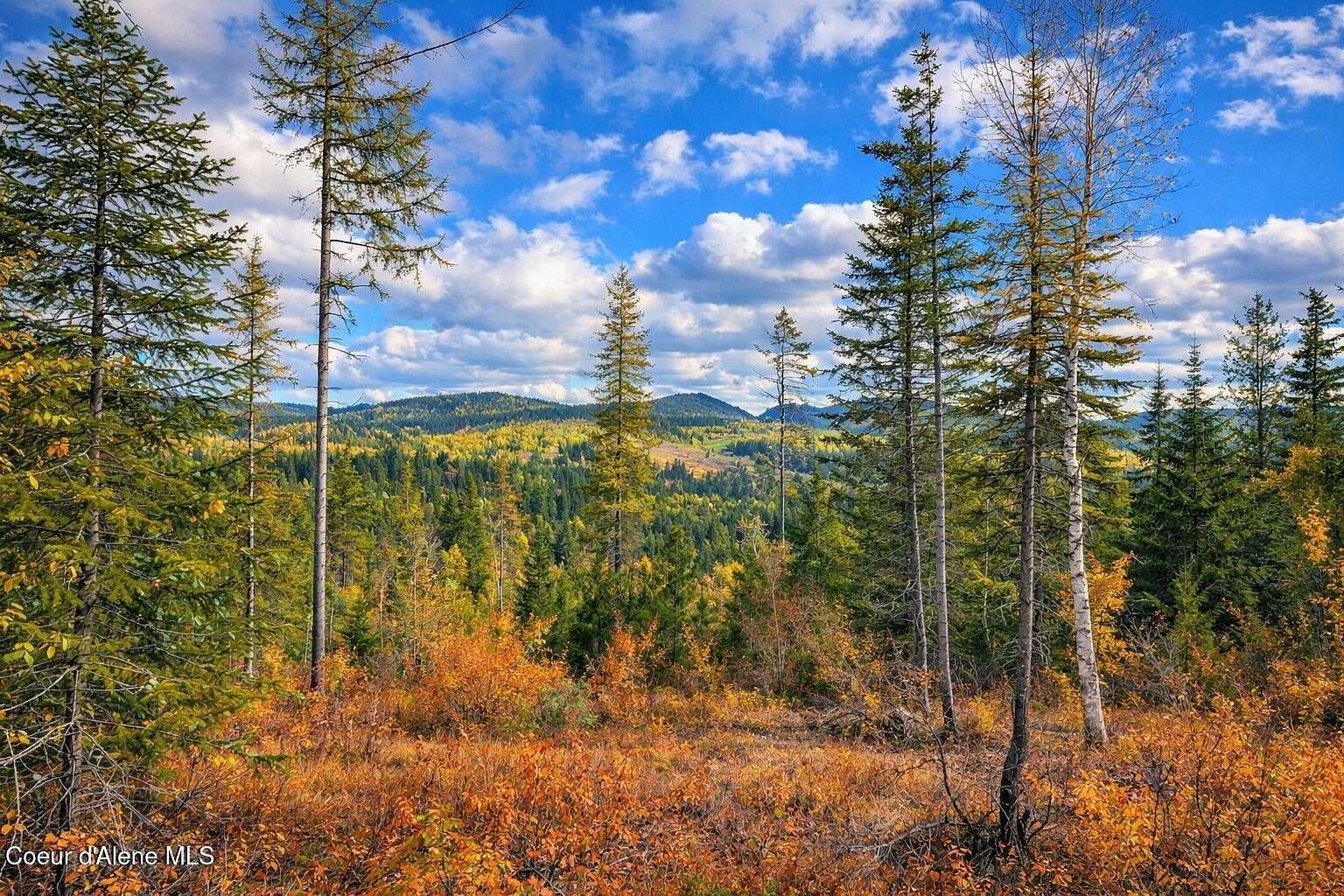 40 Acres of Land for Sale in Careywood, Idaho