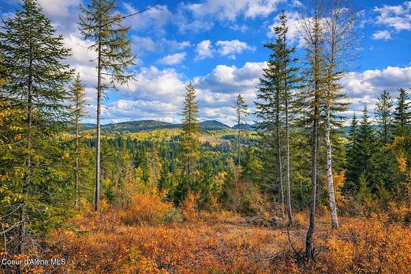 40 Acres of Land for Sale in Careywood, Idaho
