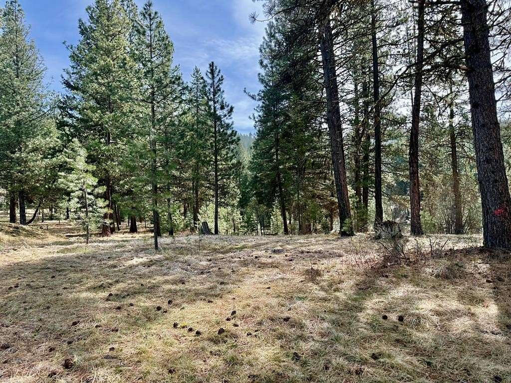 0.36 Acres of Residential Land for Sale in McCall, Idaho