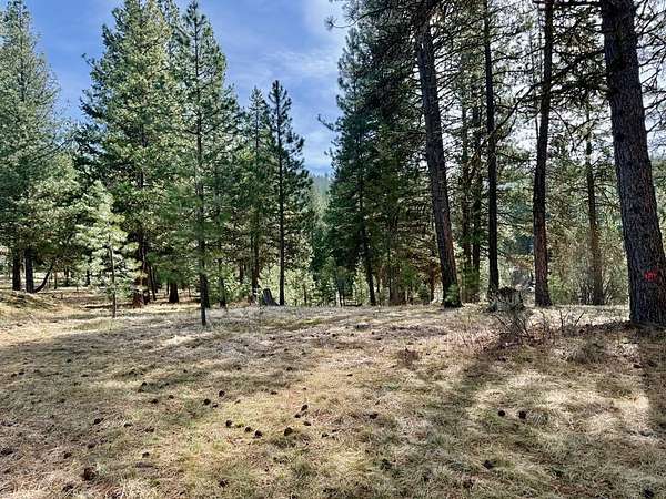0.36 Acres of Residential Land for Sale in McCall, Idaho