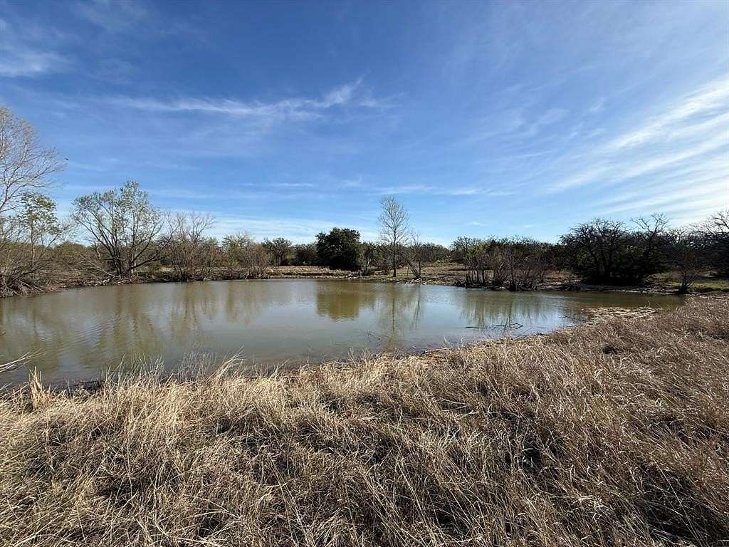 91 Acres of Recreational Land for Sale in Granbury, Texas