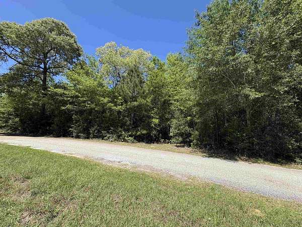 2.39 Acres of Mixed-Use Land for Sale in Kountze, Texas
