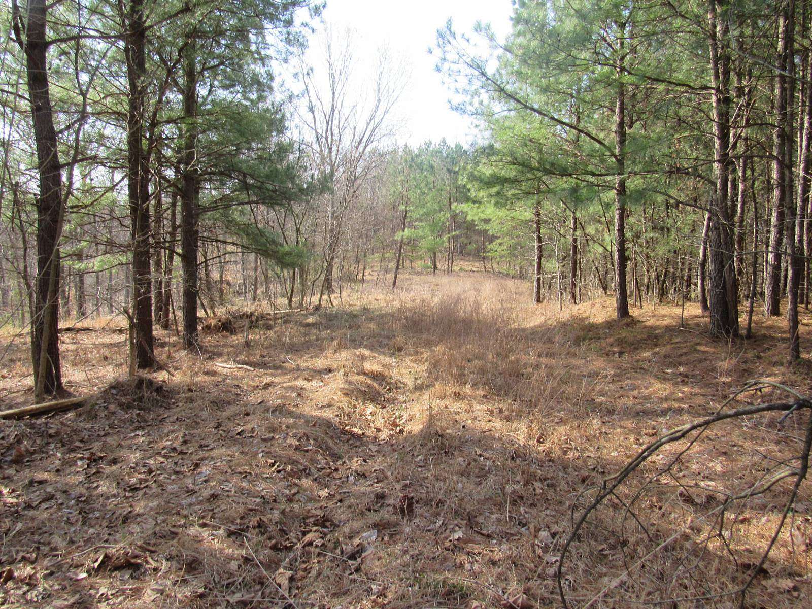 150 Acres of Land for Sale in Elizabeth, West Virginia