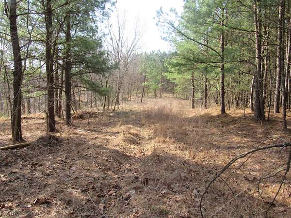150 Acres of Land for Sale in Elizabeth, West Virginia