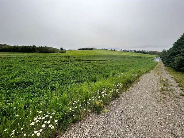 21.4 Acres of Recreational & Residential Land for Sale in Frenchville, Maine