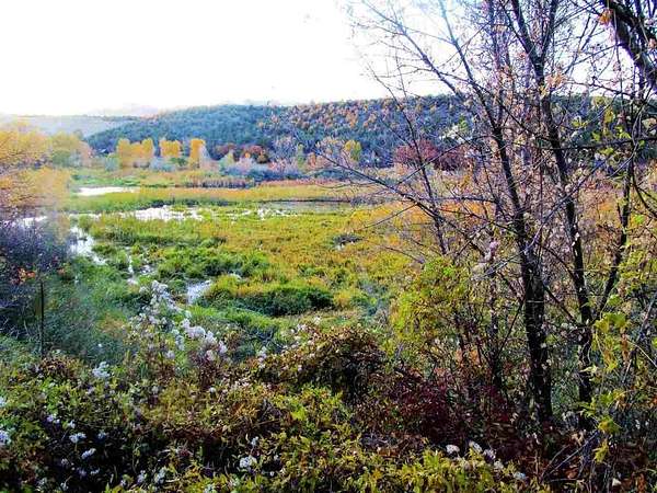 7 Acres of Residential Land for Sale in Collbran, Colorado