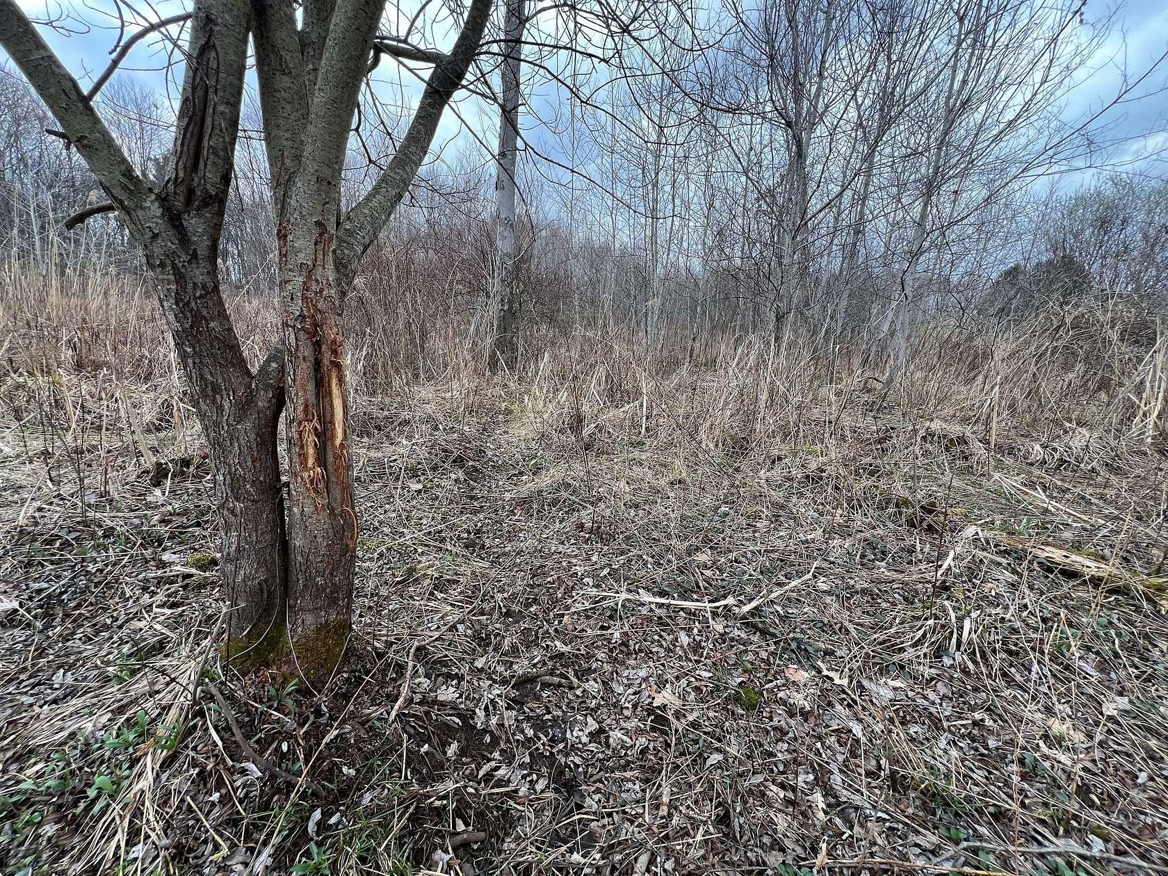 37 Acres of Recreational Land for Sale in Kennerdell, Pennsylvania