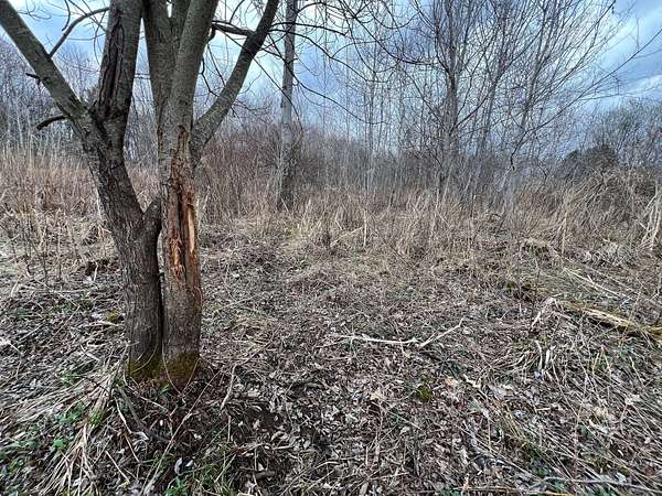 37 Acres of Recreational Land for Sale in Kennerdell, Pennsylvania