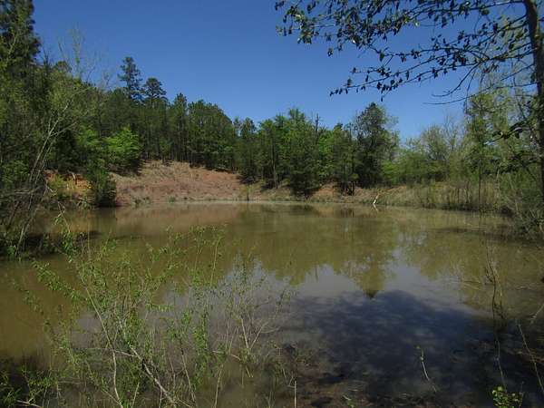 9.72 Acres of Recreational Land for Sale in Fort Towson, Oklahoma