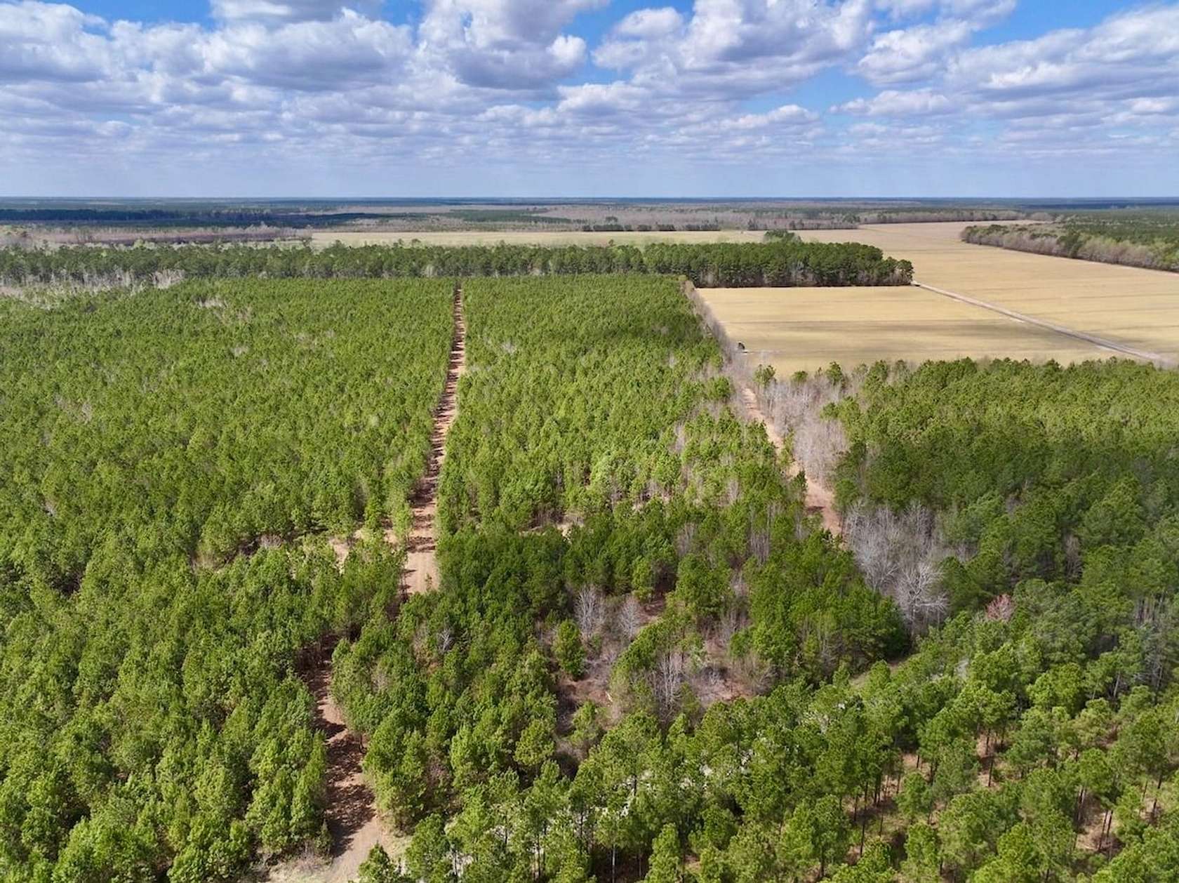 25 Acres of Land for Sale in Ernul, North Carolina