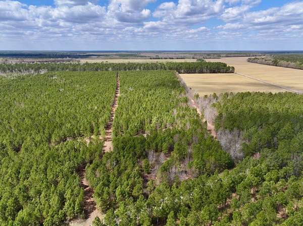 25 Acres of Land for Sale in Ernul, North Carolina