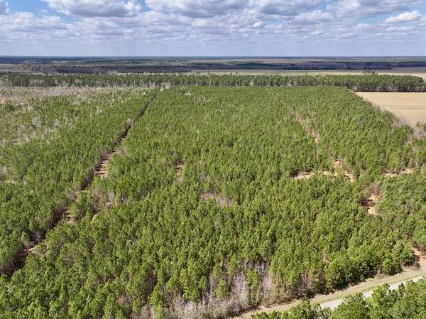 25 Acres of Land for Sale in Ernul, North Carolina