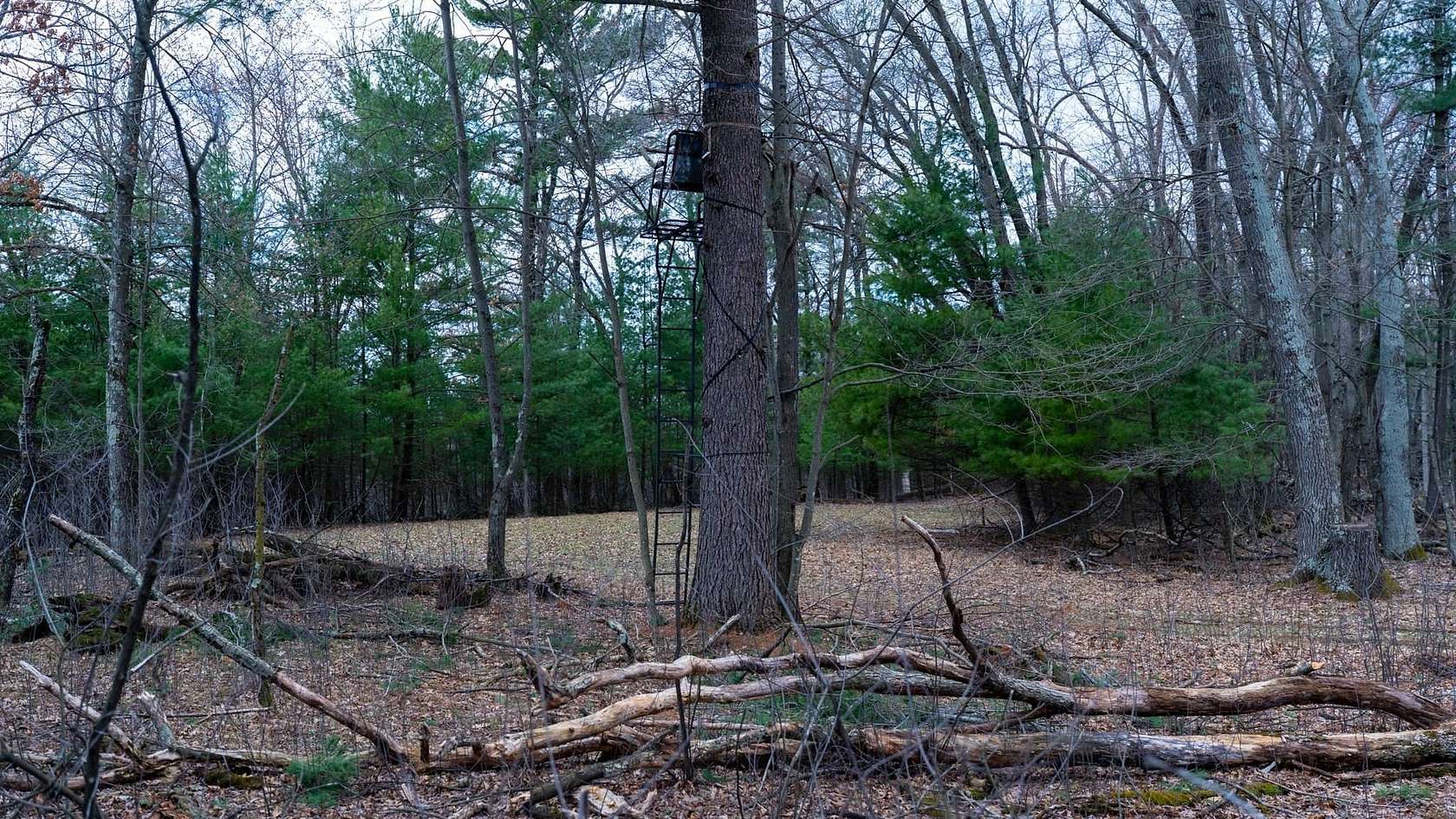 111 Acres of Recreational Land for Sale in Adams, Wisconsin