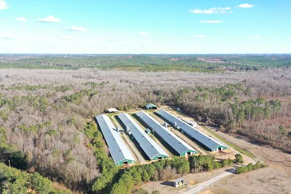 55 Acres of Land for Sale in Gordo, Alabama