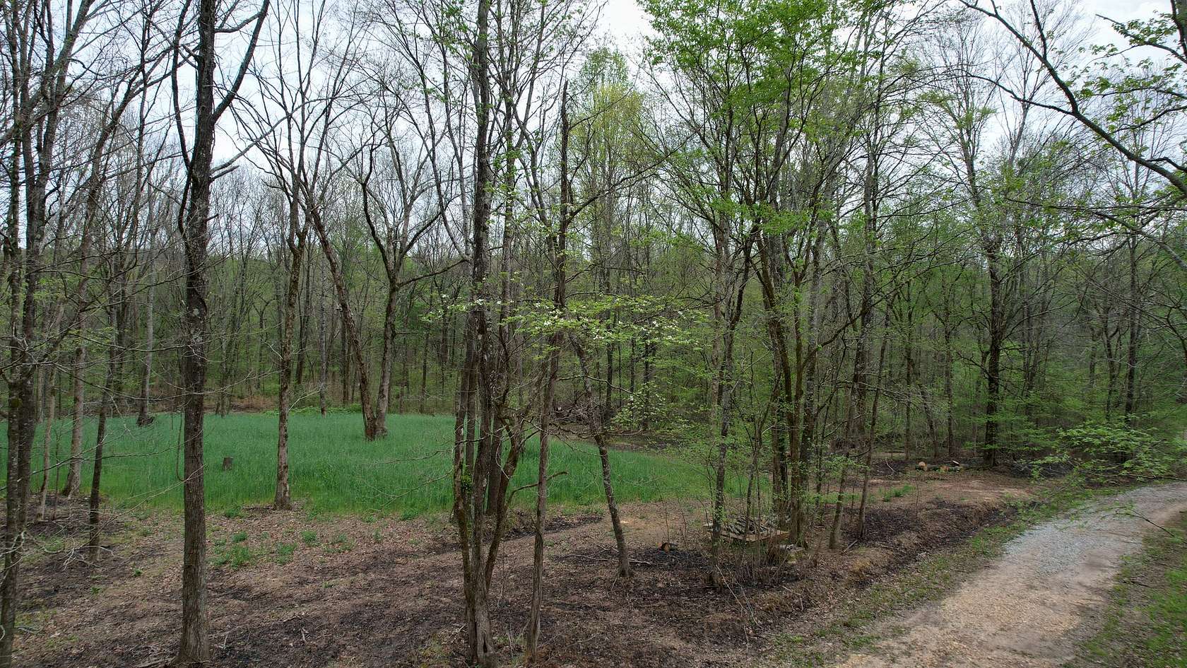 47 Acres of Recreational & Residential Land for Sale in Cherokee, Alabama