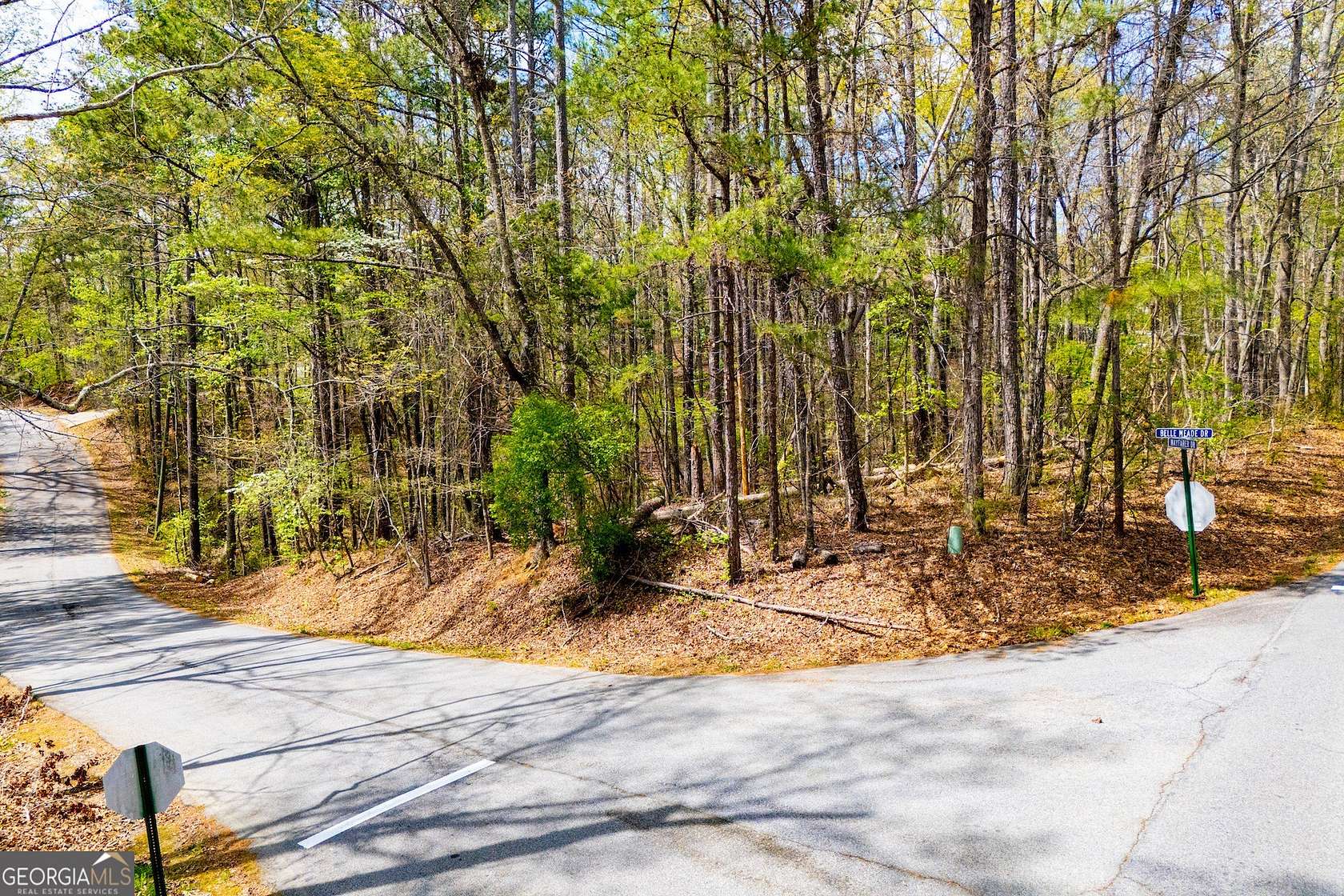 0.36 Acres of Residential Land for Sale in Villa Rica, Georgia