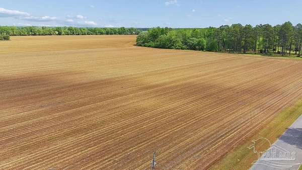 3 Acres of Residential Land for Sale in Jay, Florida