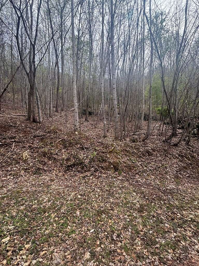 Land for Sale in Murphy, North Carolina