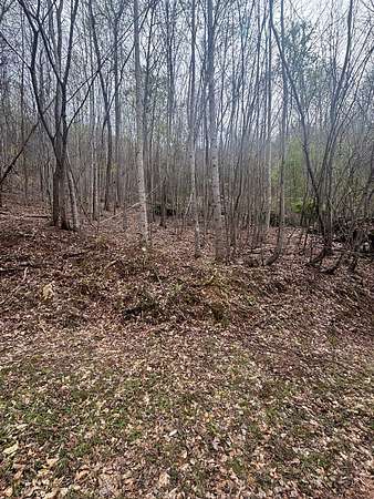 Land for Sale in Murphy, North Carolina