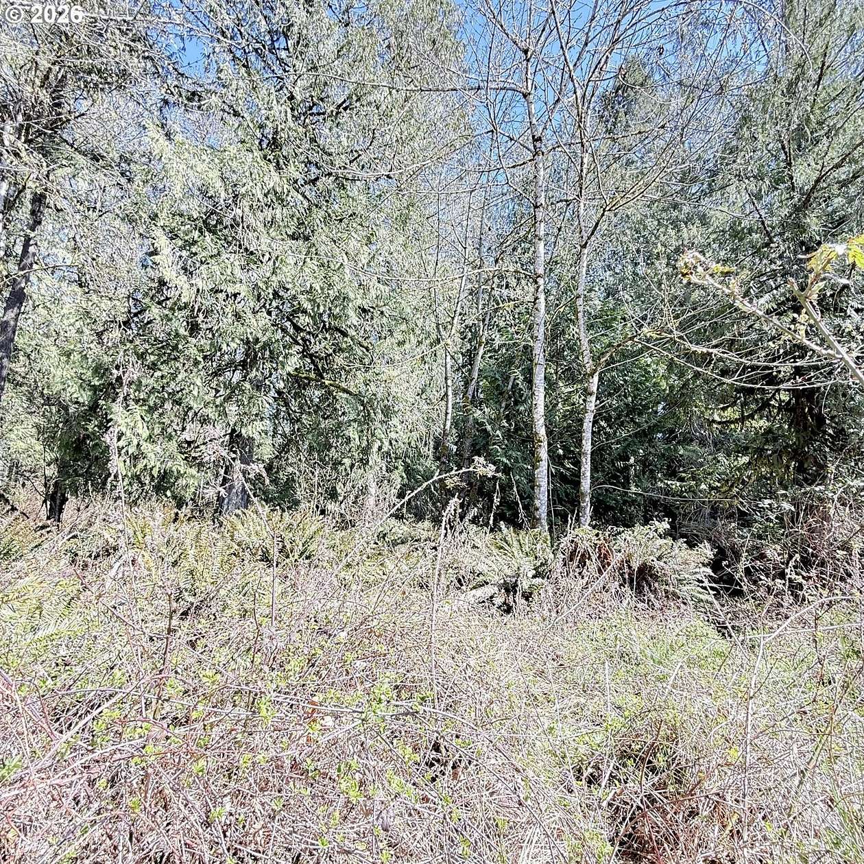 0.23 Acres of Residential Land for Sale in Vernonia, Oregon