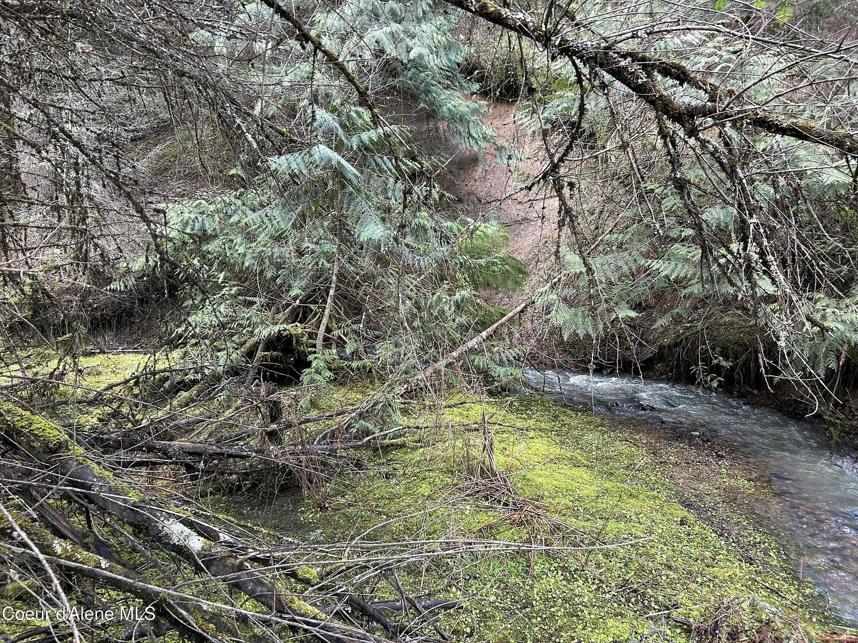 2.89 Acres of Residential Land for Sale in Harrison, Idaho