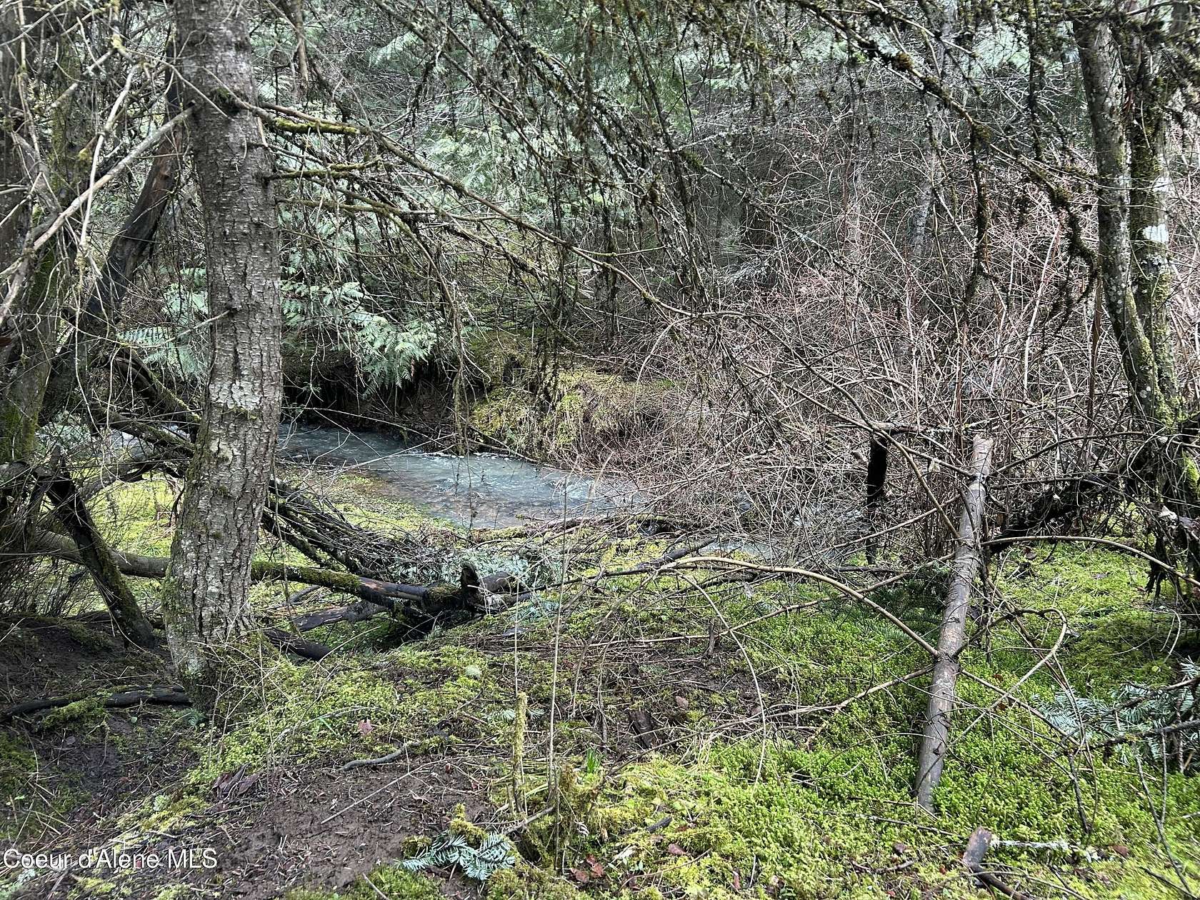 2.89 Acres of Residential Land for Sale in Harrison, Idaho