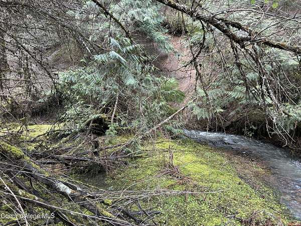 2.89 Acres of Residential Land for Sale in Harrison, Idaho