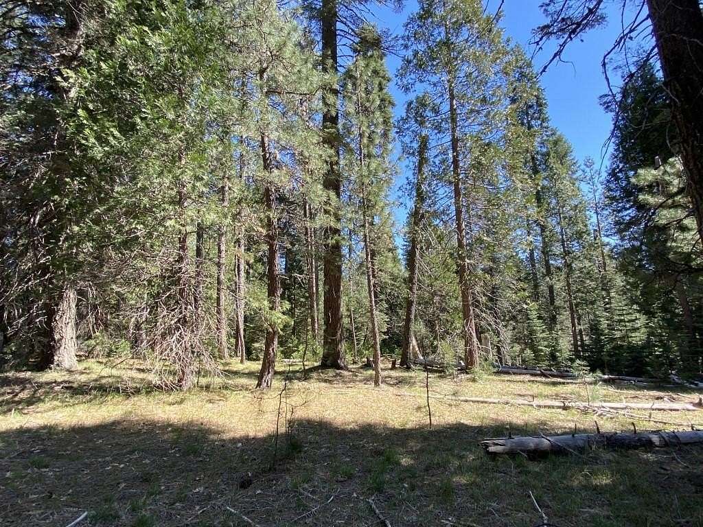 2.5 Acres of Residential Land for Sale in McCloud, California