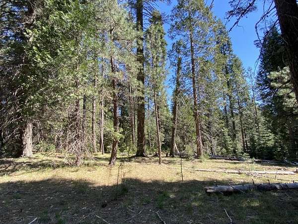 2.5 Acres of Residential Land for Sale in McCloud, California