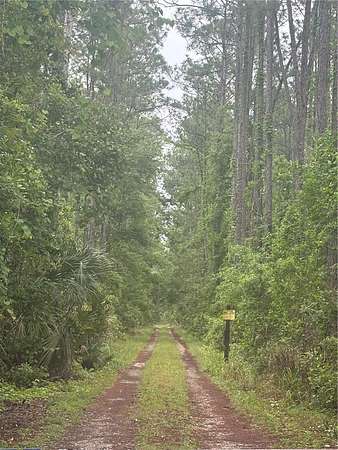 1.25 Acres of Commercial Land for Sale in DeLand, Florida