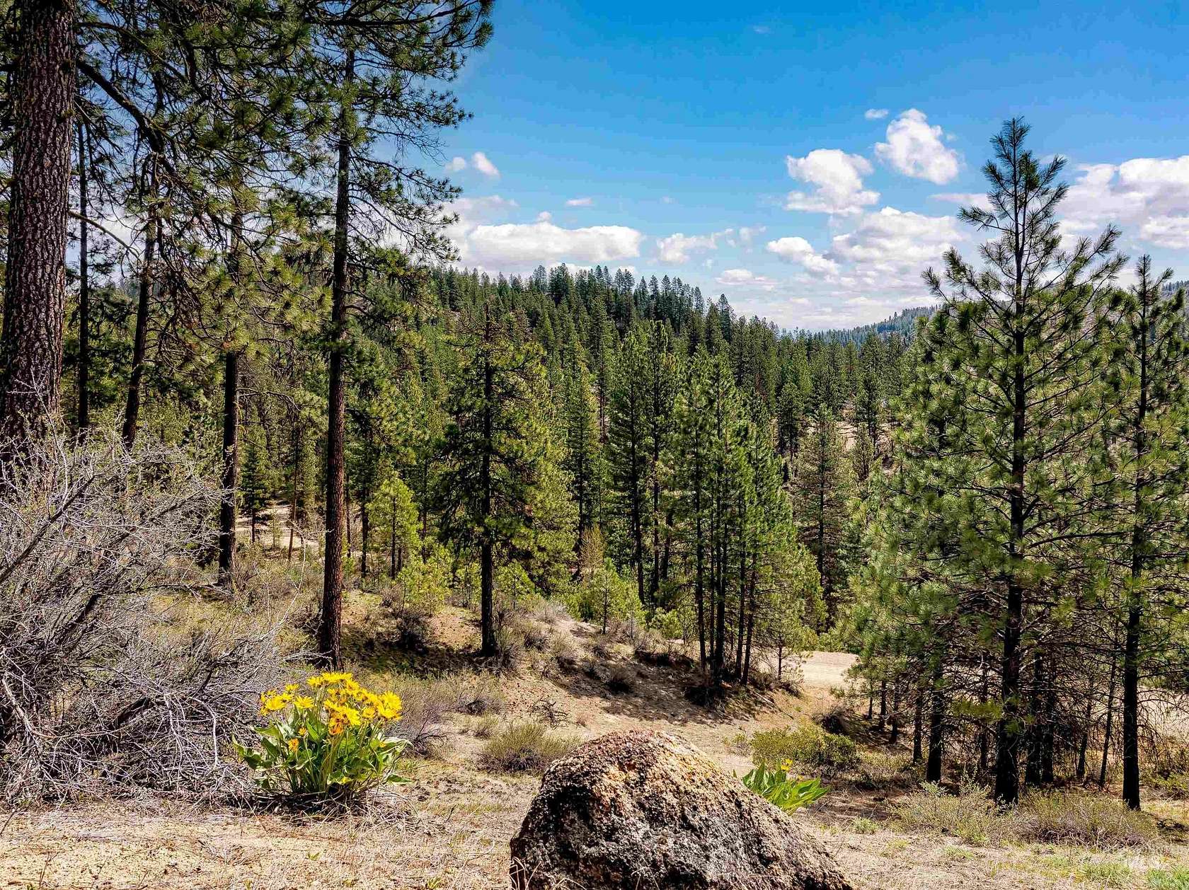 4.15 Acres of Residential Land for Sale in Boise, Idaho