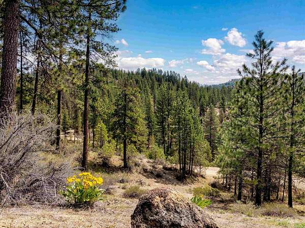 4.15 Acres of Residential Land for Sale in Boise, Idaho