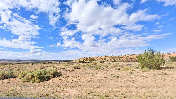 1 Acre of Residential Land for Sale in Chambers, Arizona