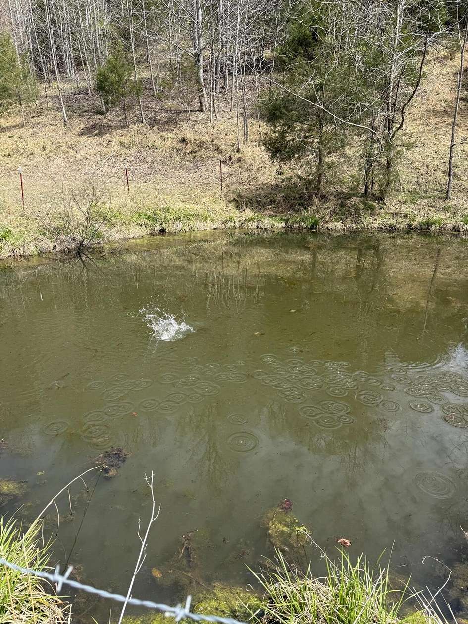 35 Acres of Recreational Land for Sale in Kyles Ford, Tennessee