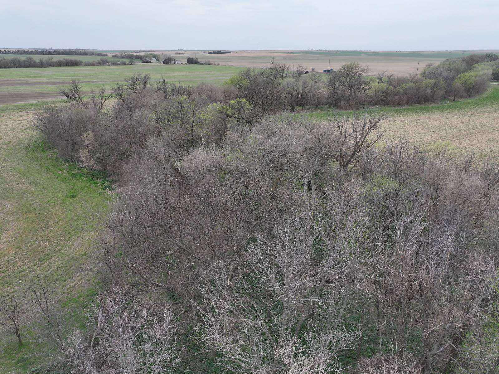157 Acres of Land for Sale in Hoisington, Kansas