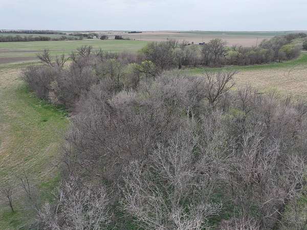 157 Acres of Land for Sale in Hoisington, Kansas