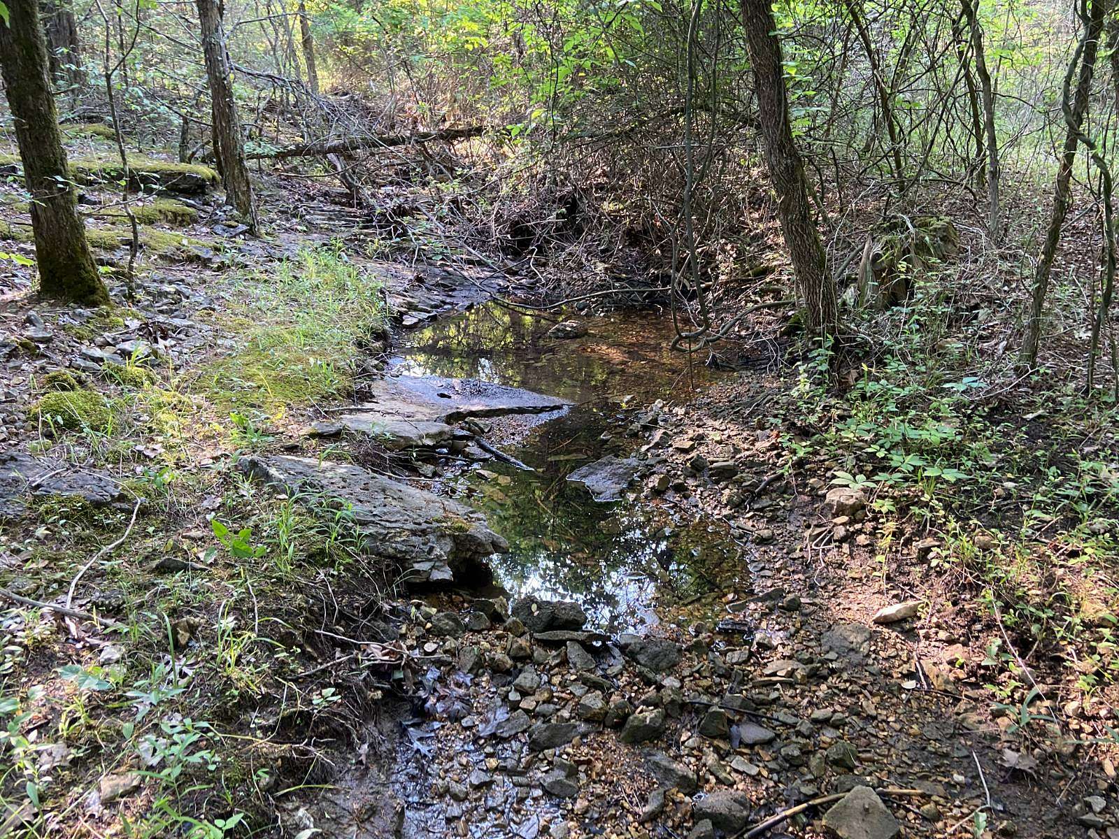 131 Acres of Recreational Land for Sale in Pocahontas, Arkansas