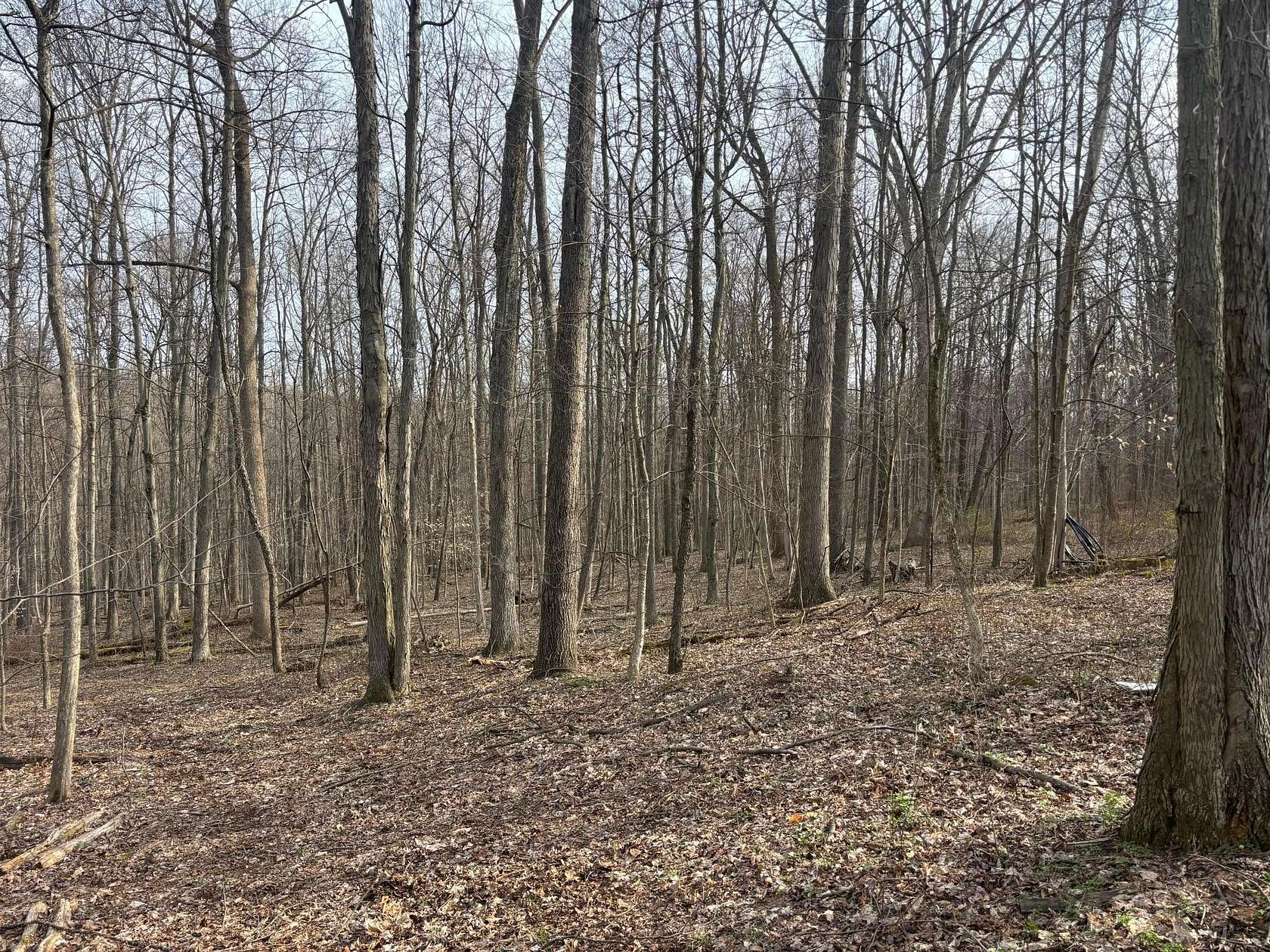 5 Acres of Residential Land for Sale in Butler Township, Ohio