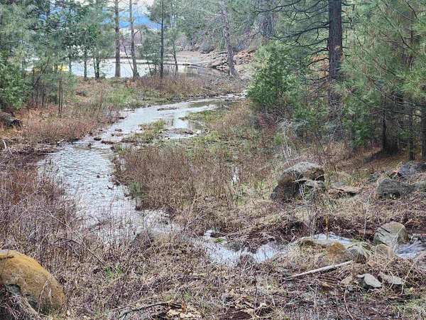 0.76 Acres of Land for Sale in Hamilton Branch, California