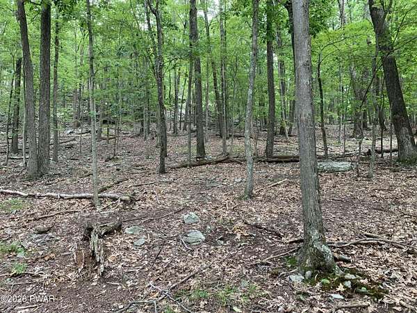 0.49 Acres of Residential Land for Sale in Tafton, Pennsylvania