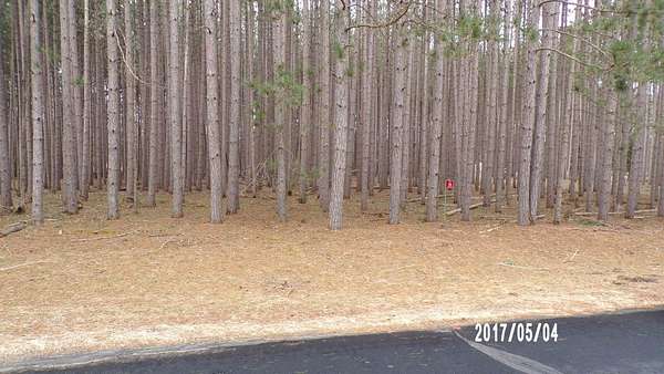 0.47 Acres of Residential Land for Sale in Nekoosa, Wisconsin