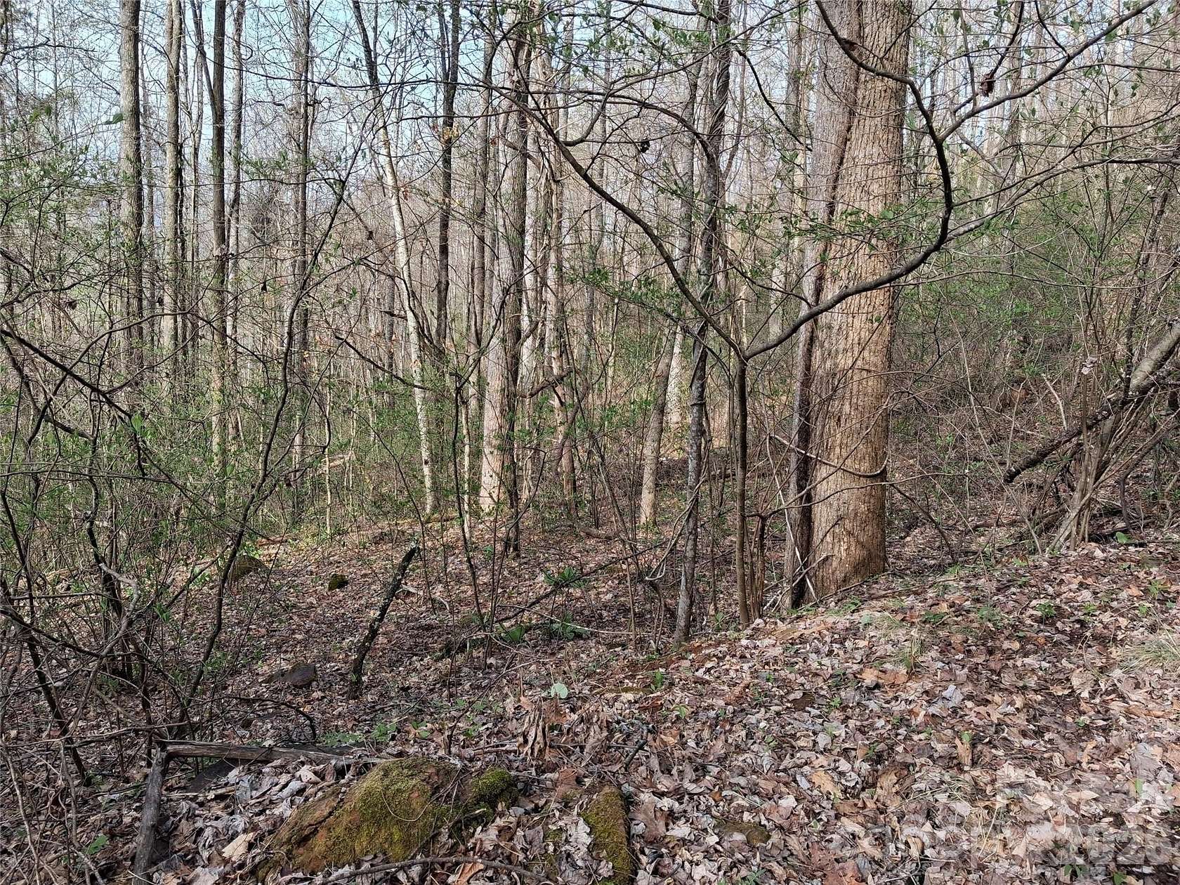 7.6 Acres of Residential Land for Sale in Cullowhee, North Carolina