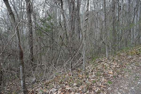 7.6 Acres of Residential Land for Sale in Cullowhee, North Carolina