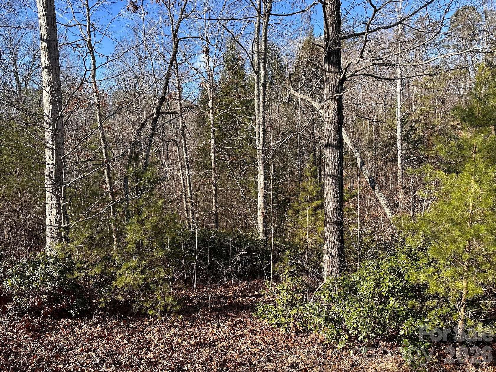 1.17 Acres of Residential Land for Sale in Lake Lure, North Carolina