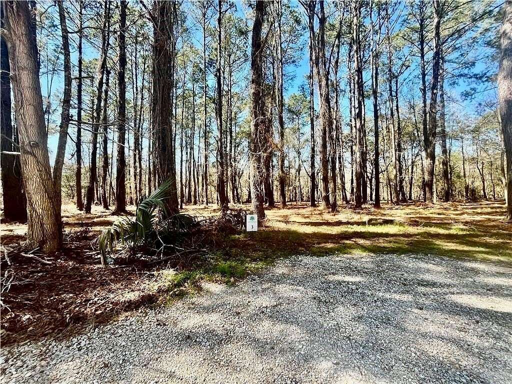 0.87 Acres of Residential Land for Sale in Darien, Georgia