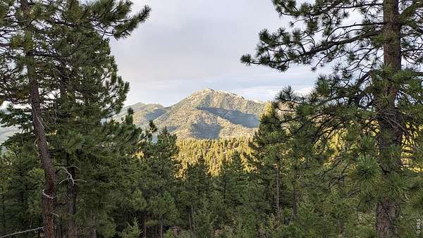 7.15 Acres of Land for Sale in Golden, Colorado