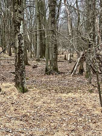 0.52 Acres of Residential Land for Sale in Albrightsville, Pennsylvania