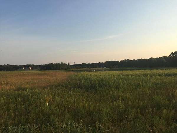 3.74 Acres of Land for Sale in Columbus, Minnesota