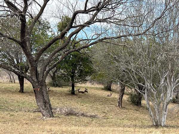0.32 Acres of Residential Land for Sale in Horseshoe Bay, Texas