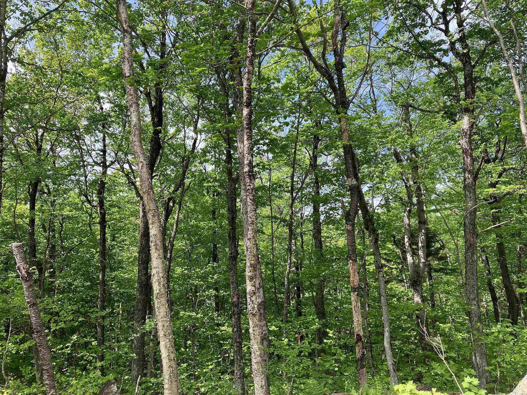 0.5 Acres of Residential Land for Sale in Wilmington, Vermont
